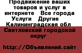 Продвижение ваших товаров и услуг в интернете - Все города Услуги » Другие   . Калининградская обл.,Светловский городской округ 